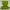 Knitted Frog – Jumping with Cuteness!