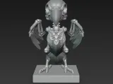Bird skeleton-2