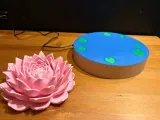 levitating water lily-3