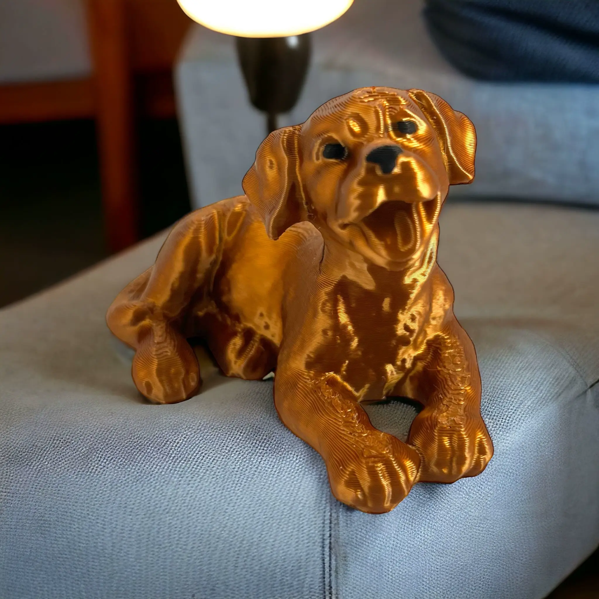Labrador puppy dog