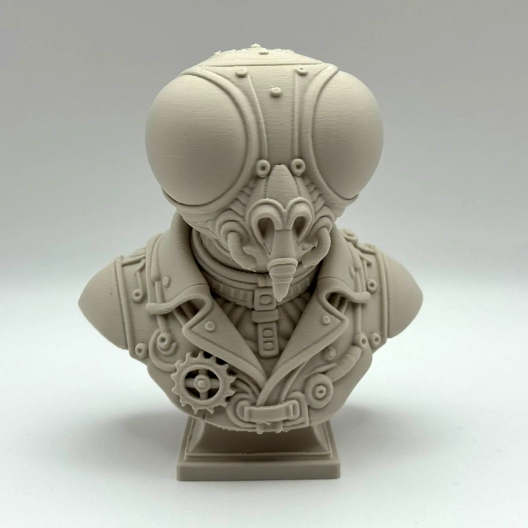 Steampunk Fly Bust