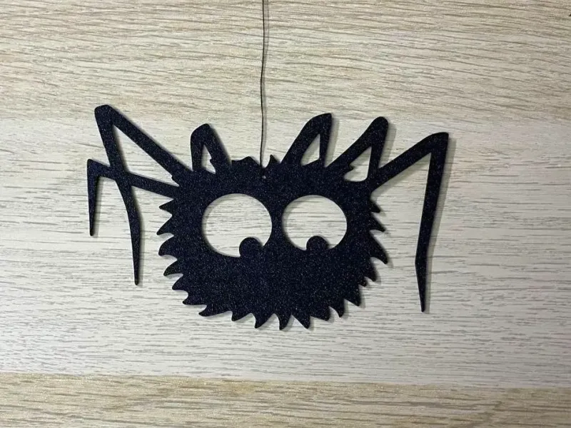 Super hairy spider