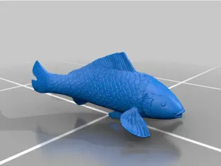 Koi Fish