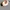 articulated guinea pig