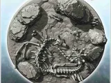 Fantasy scene of desolation with items with skulls and bones-4