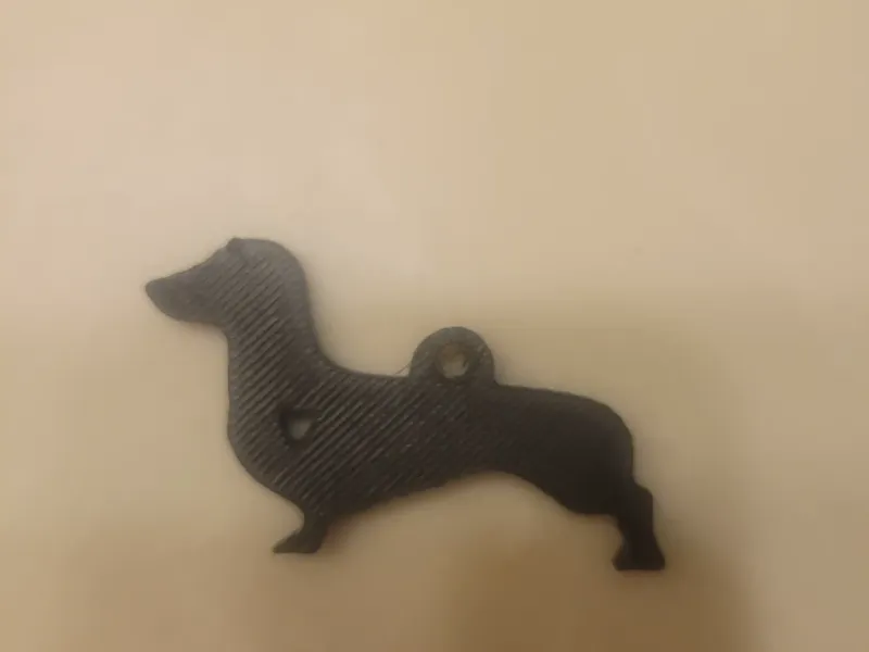dashung keychain