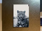 Wild Cat Hueforge-0