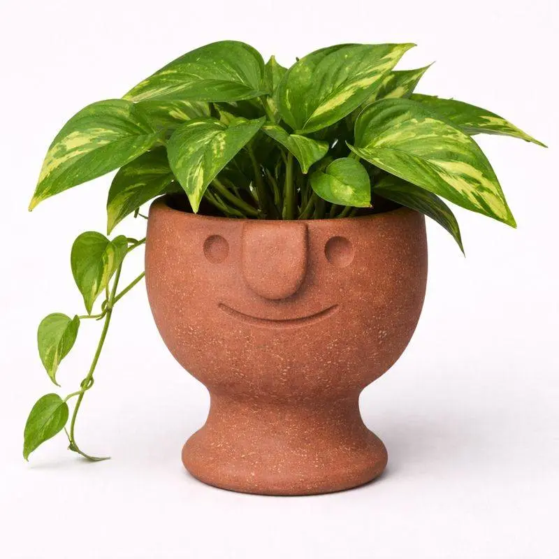 Face Pot Planter - Succulent - Cactus - Potus