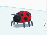 Ladybug-7