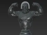 Peacemaker Bust-0