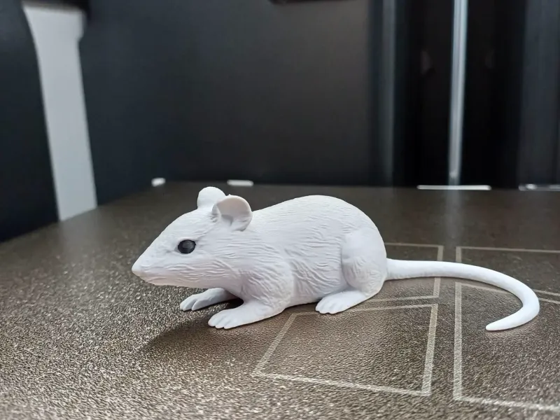 Ratinho Sorrateiro