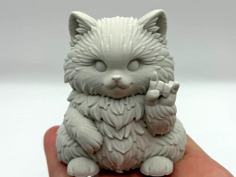 Chonky RockOn Kitten