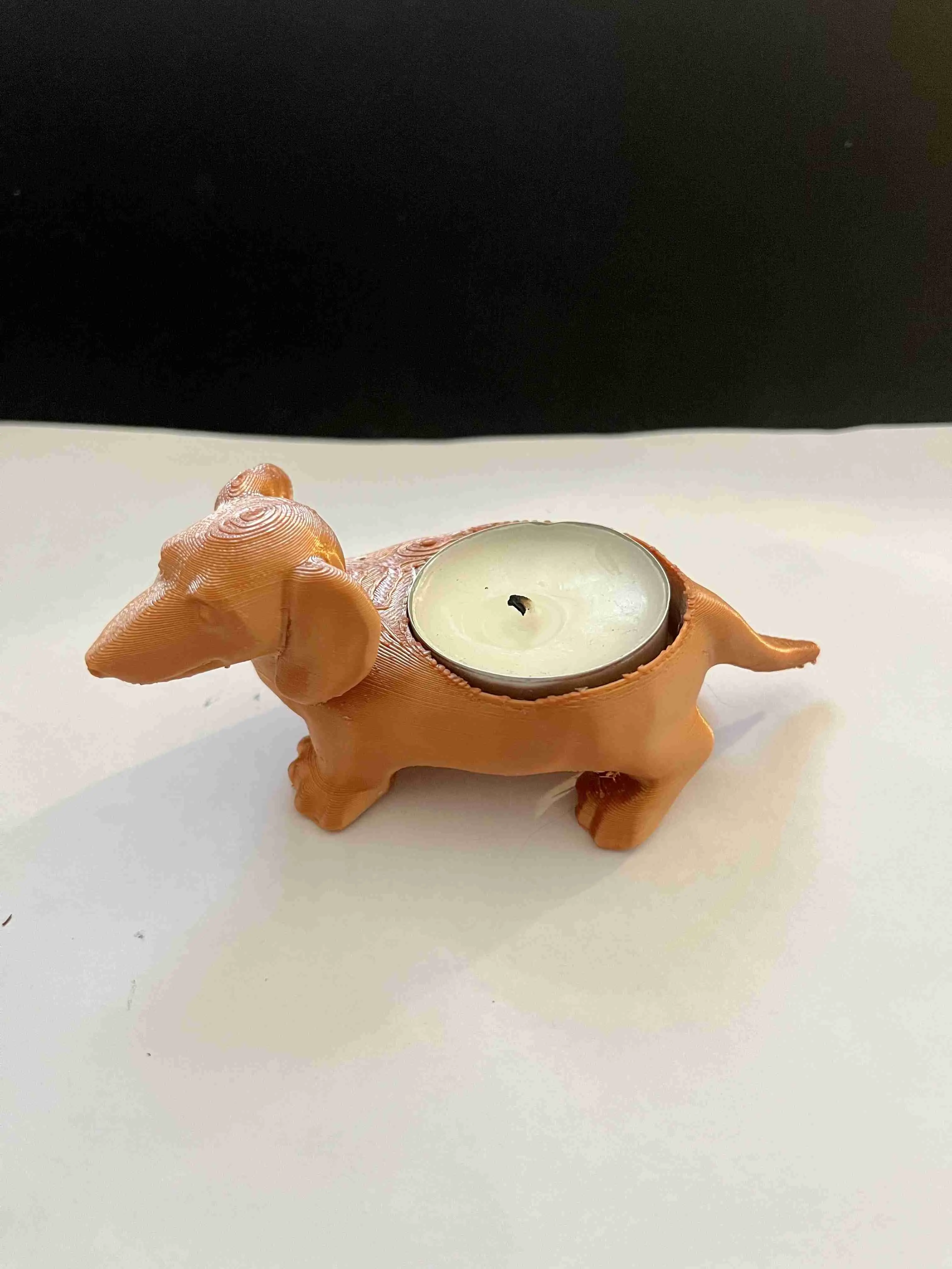Dog candle