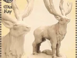 Stag Casual-0
