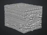 Plant Cell-0