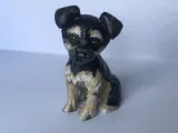 Yorkshire Terrier-0