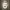 Apex Legends - Fuse