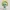 Squidward Tentacles The SpongeBob : Search for SquarePants