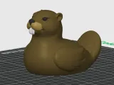 Beaver Duck-3
