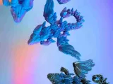 Virgo Dragon-1