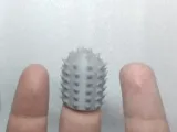 Finger Cactus-1