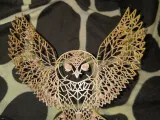 Owl Picture-1