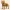 Staffordshire Terrier – Roots of Life
