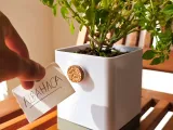 Cork Planter-0