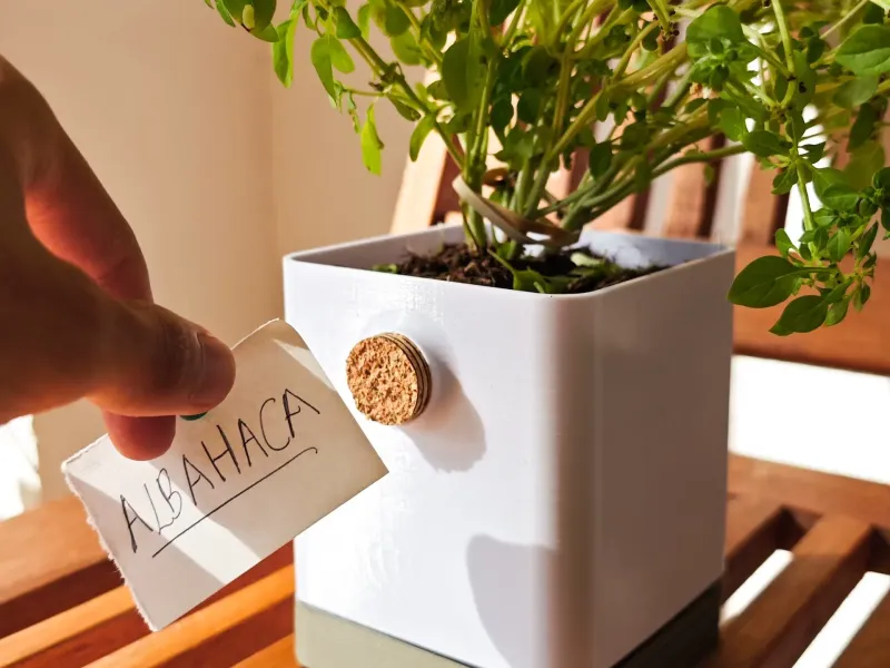 Cork Planter