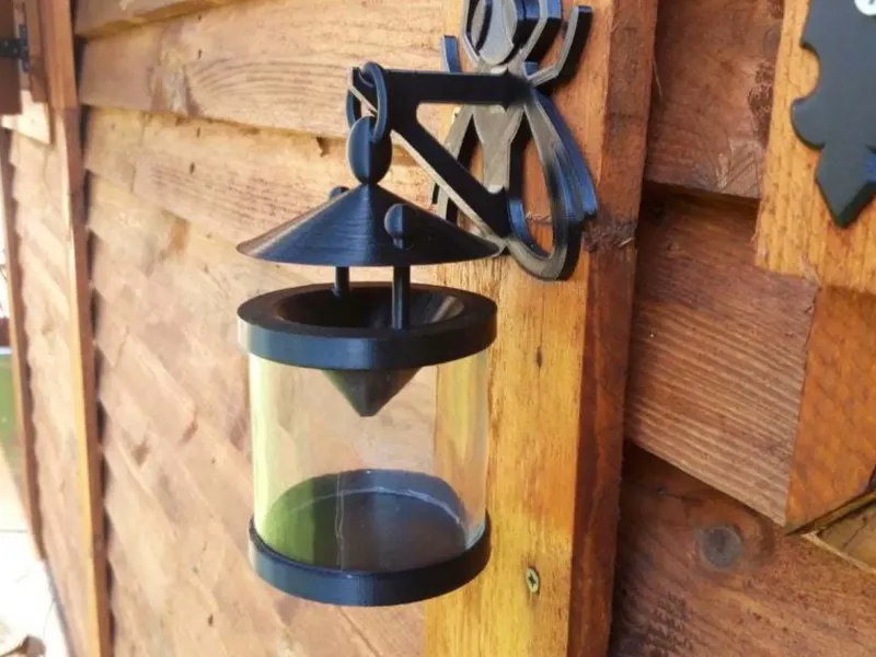 Fly Trap & Bugs