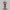 The Rock – Fan Tribute Collectible Figurine
