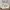 Dock de Standby para iPhone 15 Pro