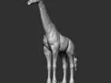 GIRAFFE-1