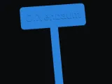 Olivenbaum -0