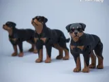 Rottweiler the realistic flexi dog toy - collectible figure-1