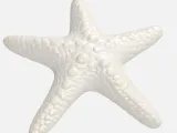 Starfish -1