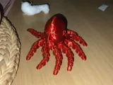 Dwayne “The Roctopus” Johnson-1