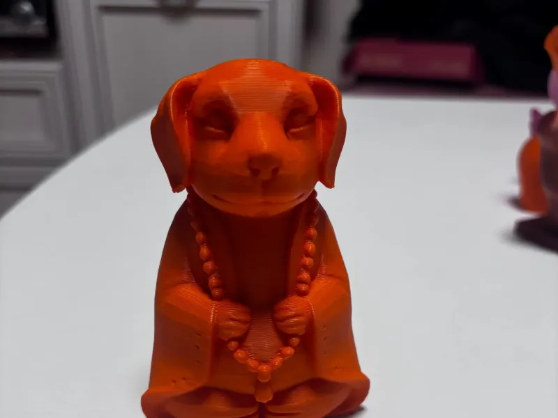 Buddhist dog