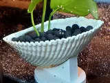 Shell Planter Stand-0