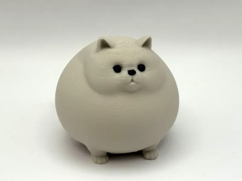 Huge Chonky Kitty