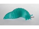 Slug-5