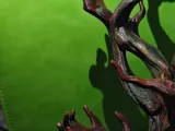 Haunted Handy Tree-4