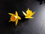 Easter Lily-1