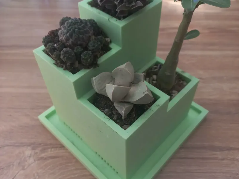 仙人掌花盆