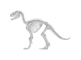 Deinocheirus Skeleton – Highly Detailed Dinosaur Anatomy-0