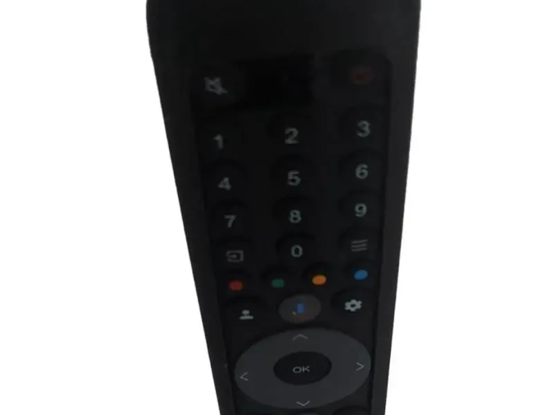 TCL remote control protector