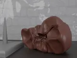 Human Anatomy Liver Organ-6