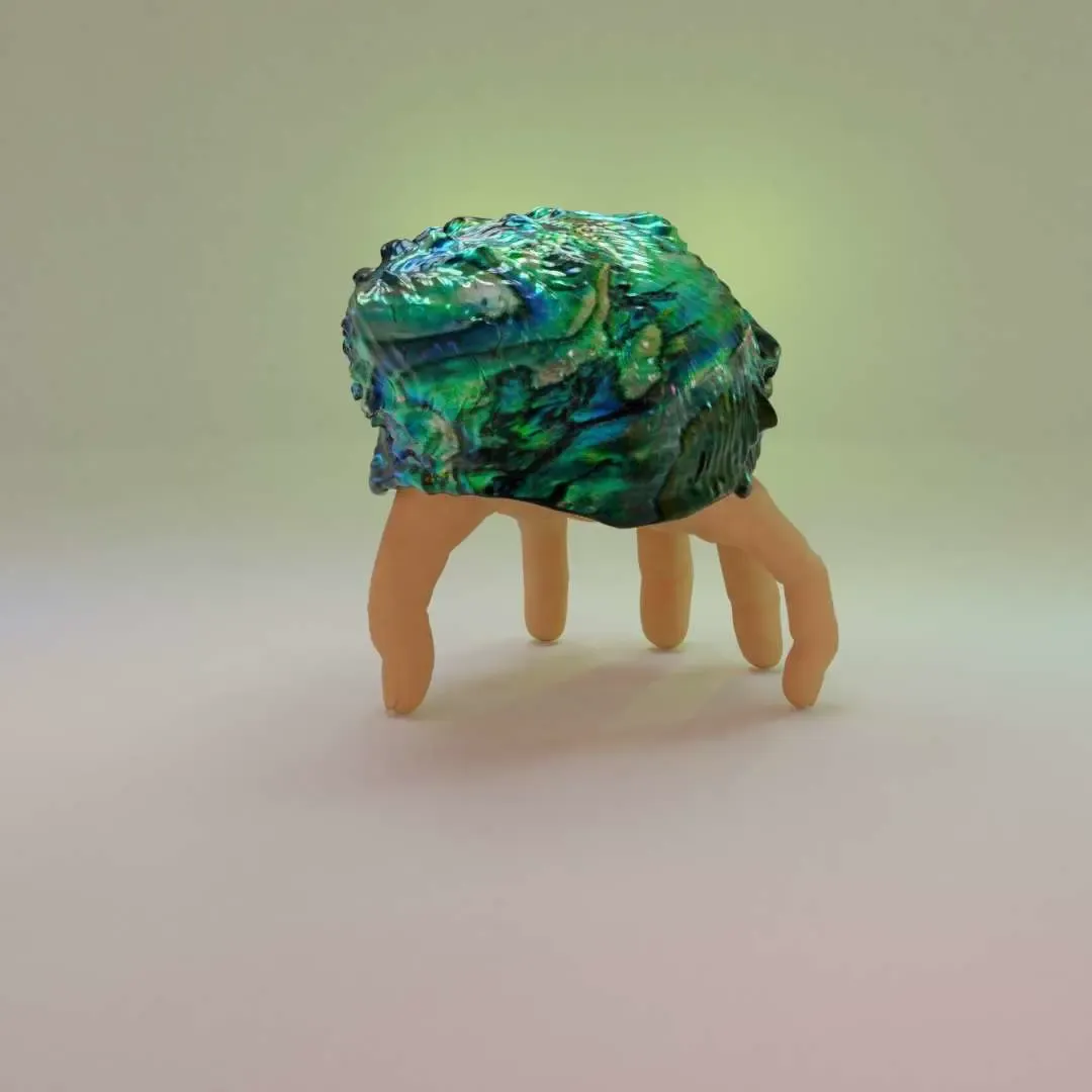Hermit Finger Crab