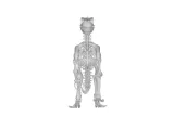 Deinocheirus Skeleton – Highly Detailed Dinosaur Anatomy-3