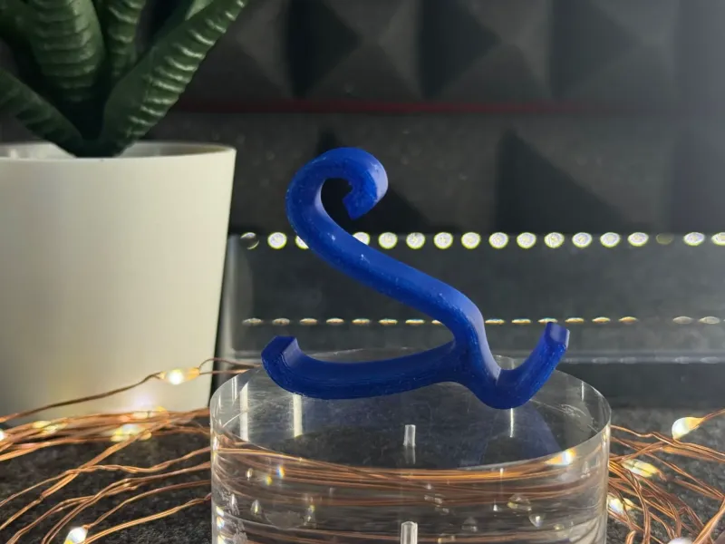 Special Umbrella Hook
